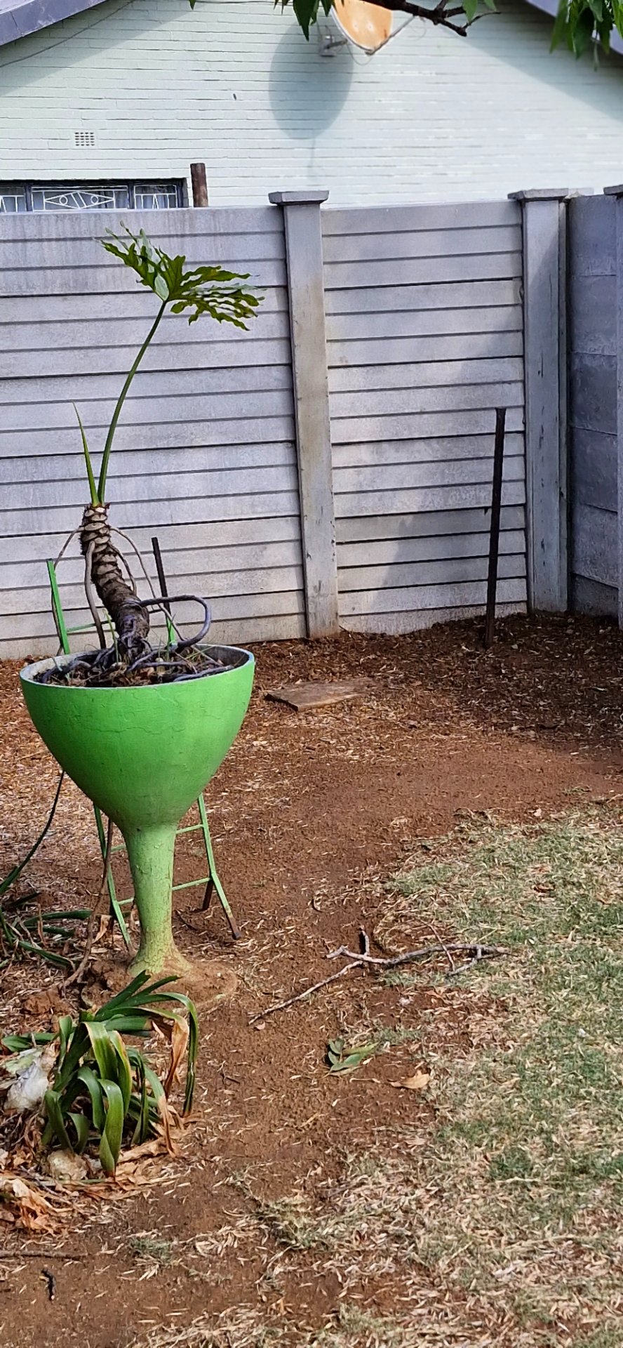 To Let 1 Bedroom Property for Rent in Universitas Free State